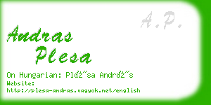 andras plesa business card